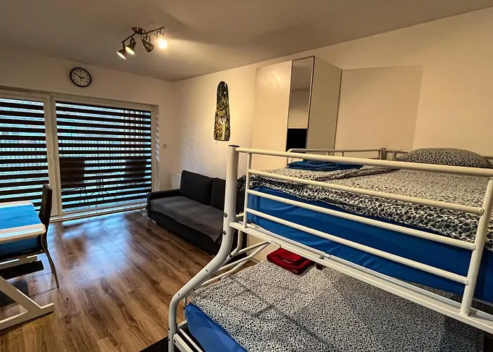 Stare Bob Cat * Lublin