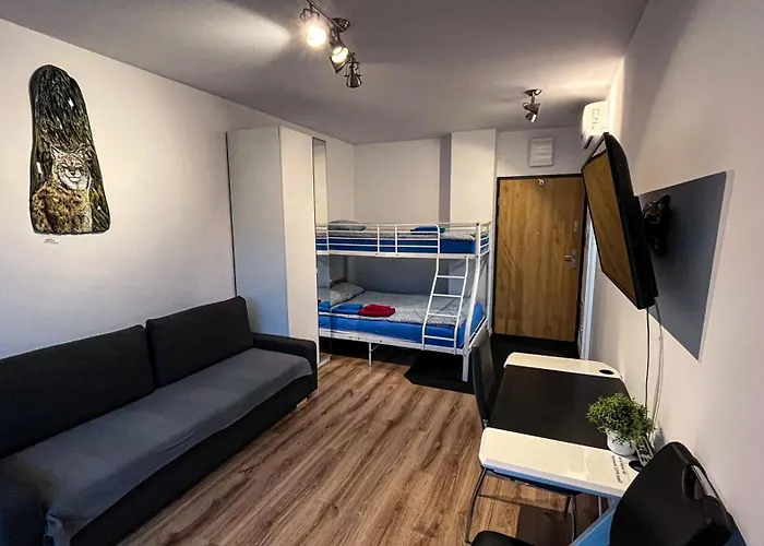 Stare Bob Cat * Lublin